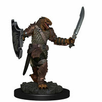 
              Female Dragonborn Paladin Premium D&D Miniature Dungeons Dragons fighter W2 Z
            