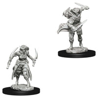 Female Tiefling Rogue 2pk W7 Nolzur's D&D miniature Dungeons Dragons unpainted Z