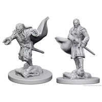 Vampires 2 pk W1 Nolzur's D&D miniature Dungeons Dragons unpainted spawn undead