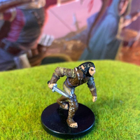 Shifter Rogue D&D Miniature Dungeons Dragons Eberron Last War monk fighter 3 Z