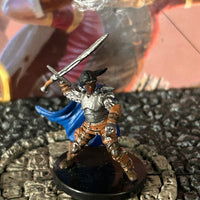 Veteran D&D Miniature Dungeons Dragons Waterdeep Mad Mage 3 fighter paladin Z