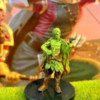 Spring Eladrin D&D Miniature Dungeons Dragons genasi Volos elf druid bard 18 Z