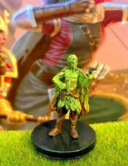 Spring Eladrin D&D Miniature Dungeons Dragons genasi Volos elf druid bard 18 Z