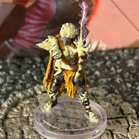 Doomguard Doom Lord D&D Miniature Dungeons Dragons Planescape Multiverse 33