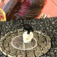 Raven on Skull painted miniature Dungeon & Dragons D&D bird find familiar druid