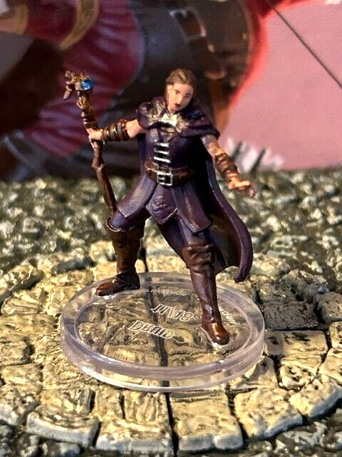 Druid D&D Miniature Dungeons Dragons Seas & Shores 11 wizard sorcerer human mage