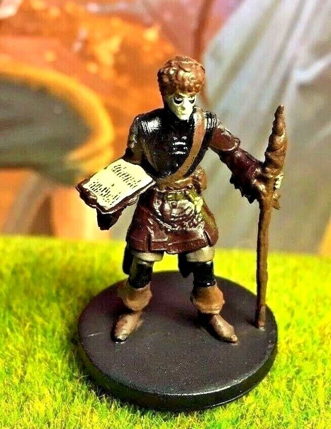 Hommet Shaw D&D Miniature Dungeons Dragons Monster Menagerie wizard necromancer