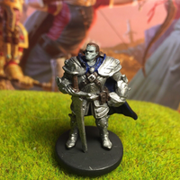 Half Orc Paladin D&D Miniature Dungeons Dragons Rage of Demons 15 fighter knight