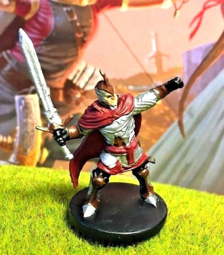 Kleef Kenric D&D Miniature Dungeons Dragons Storm King's paladin fighter 20 Z