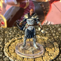 Caradoc the Knight D&D Miniature Dungeons Dragons Dragonlance fighter paladin 25