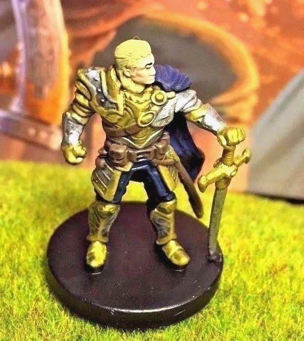 Human Paladin D&D Miniature Dungeons Dragons Tyranny fighter knight warrior 8 Z