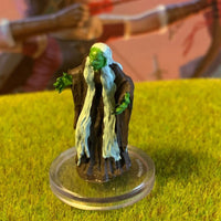 Green Hag D&D Miniature Dungeons Dragons Wild Shape Polymorph Summoned sea 10 A