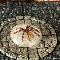 Medium Brown Spider printed miniature Dungeon & Dragons D&D cave poisonous druid