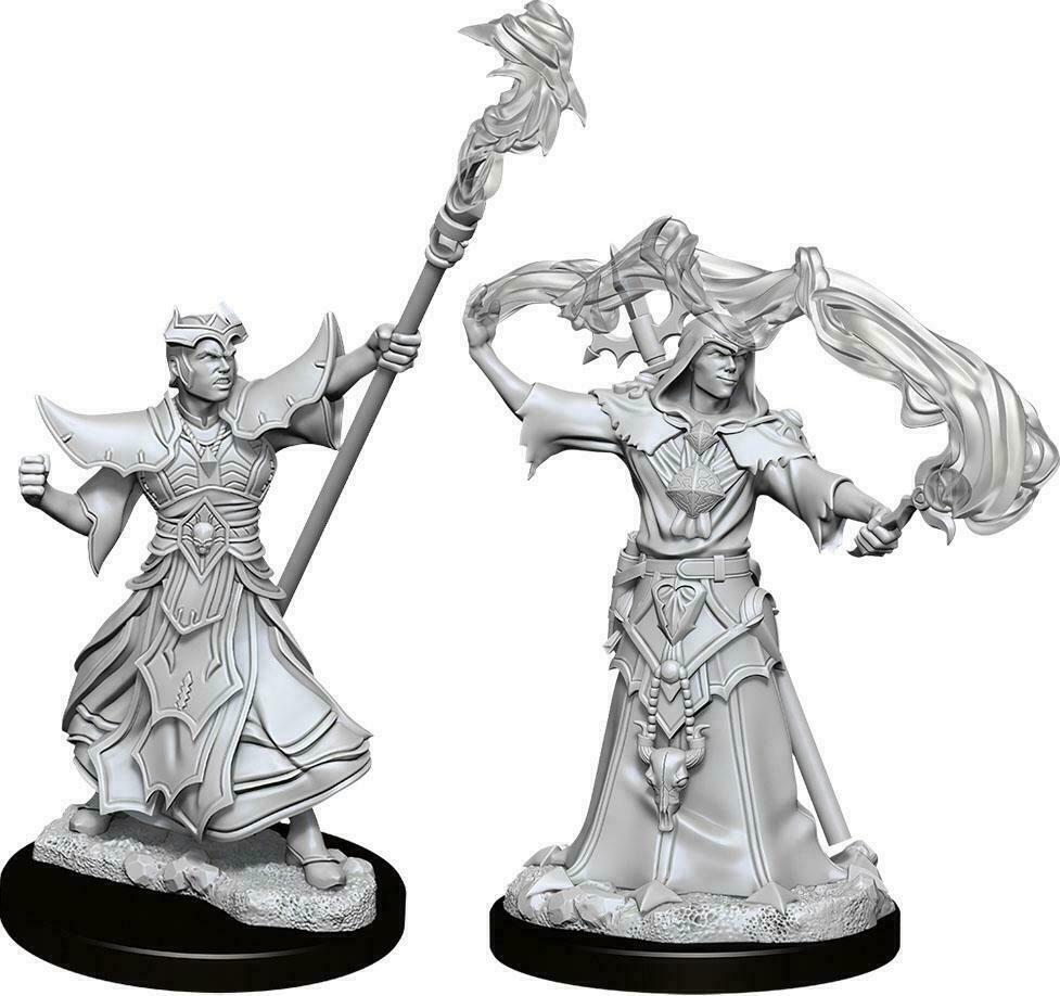 Male Human Sorcerer Pathfinder Deep D&D miniature Dungeons & Dragons unpainted Z