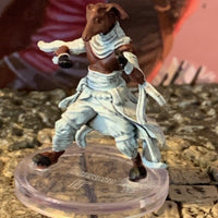 Eunemvro D&D Miniature Dungeons Dragons Impossible Lands Foes monk brawler fey