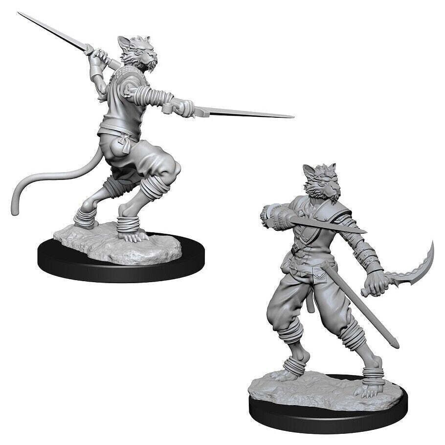 Male Tabaxi Rogue 2 pk W7 Nolzur's D&D miniature Dungeons Dragons unpainted Z