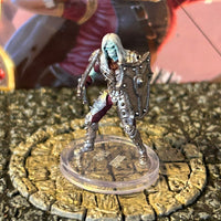 Wight D&D Miniature Dungeons Dragons Dragonlance Shadow 12 undead warrior knight