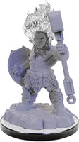 
              Azer Warriors W22 2pk Nolzur's D&D miniature Dungeons Dragons unpainted dwarf Z
            