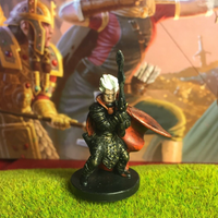 Thrall of Blackrazor D&D Miniature Dungeons Dragons Unhallowed warlock fighter