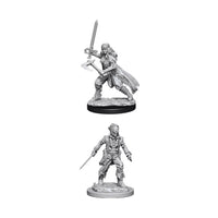 Vampire Hunters 2 pk Nolzur's D&D miniature Dungeons Dragons unpainted W8 human