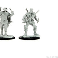 Human Bard Male W15 Nolzur's D&D miniature Dungeons Dragons unpainted rogue Z