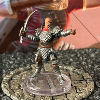 Dragon Army Officer D&D Miniature Dungeons Dragons Dragonlance fighter knight