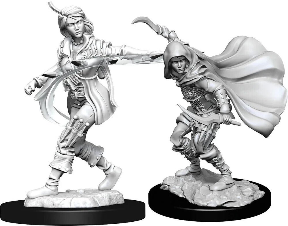 Female Human Rogue 2pk Deep Cuts D&D miniature Dungeons Dragons unpainted W14 Z