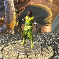 Qawasha D&D Miniature Dungeons Dragons Tomb of Annihilation 7a wizard druid Z