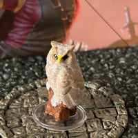 Owl Familiar Sitting printed painted miniature Dungeon Dragons D&D druid bird