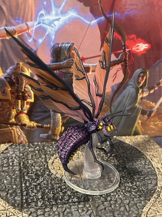 45681465