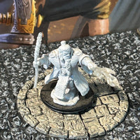 Male Dwarf Wizard D&D plastic primered miniature Dungeons Dragons unpainted b