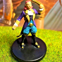 Half-Elf Enchanter D&D Miniature Dungeons Dragons Rusty Inn sorcerer wizard bard