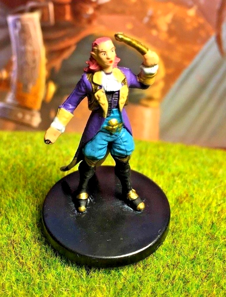 Half-Elf Enchanter D&D Miniature Dungeons Dragons Rusty Inn sorcerer wizard bard