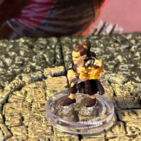 Pirate Wizard D&D Miniature Dungeons Dragons Seas & Shores sorcerer halfling 43