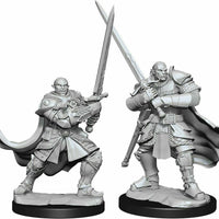 Half Orc Paladin Male W15 Nolzur's D&D miniature Dungeons Dragons unpainted Z