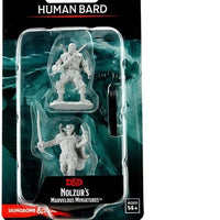 Human Bard Male W15 Nolzur's D&D miniature Dungeons Dragons unpainted rogue Z