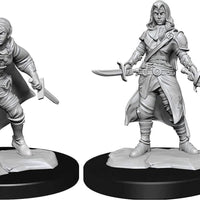 Half Elf Rogue Female W14 2pk Nolzur's D&D miniature Dungeons Dragons unpainted