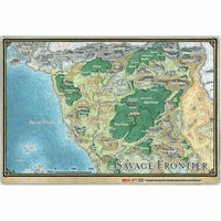 Savage Frontier Map GF9 Faerun coast vinyl D&D 21" x 28" Dungeons & Dragons 5E Z
