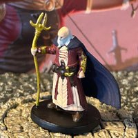 Human Wizard D&D Miniature Dungeons Dragons Rage of Demons 14 sorcerer mage Z