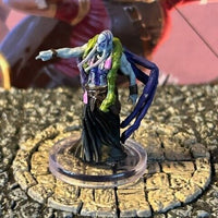 Kraken Priest D&D Miniature Dungeons Dragons Seas & Shores 37 wizard cleric A