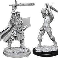 Male Human Paladin W12 2 pk Nolzur's D&D miniature Dungeons Dragons unpainted Z