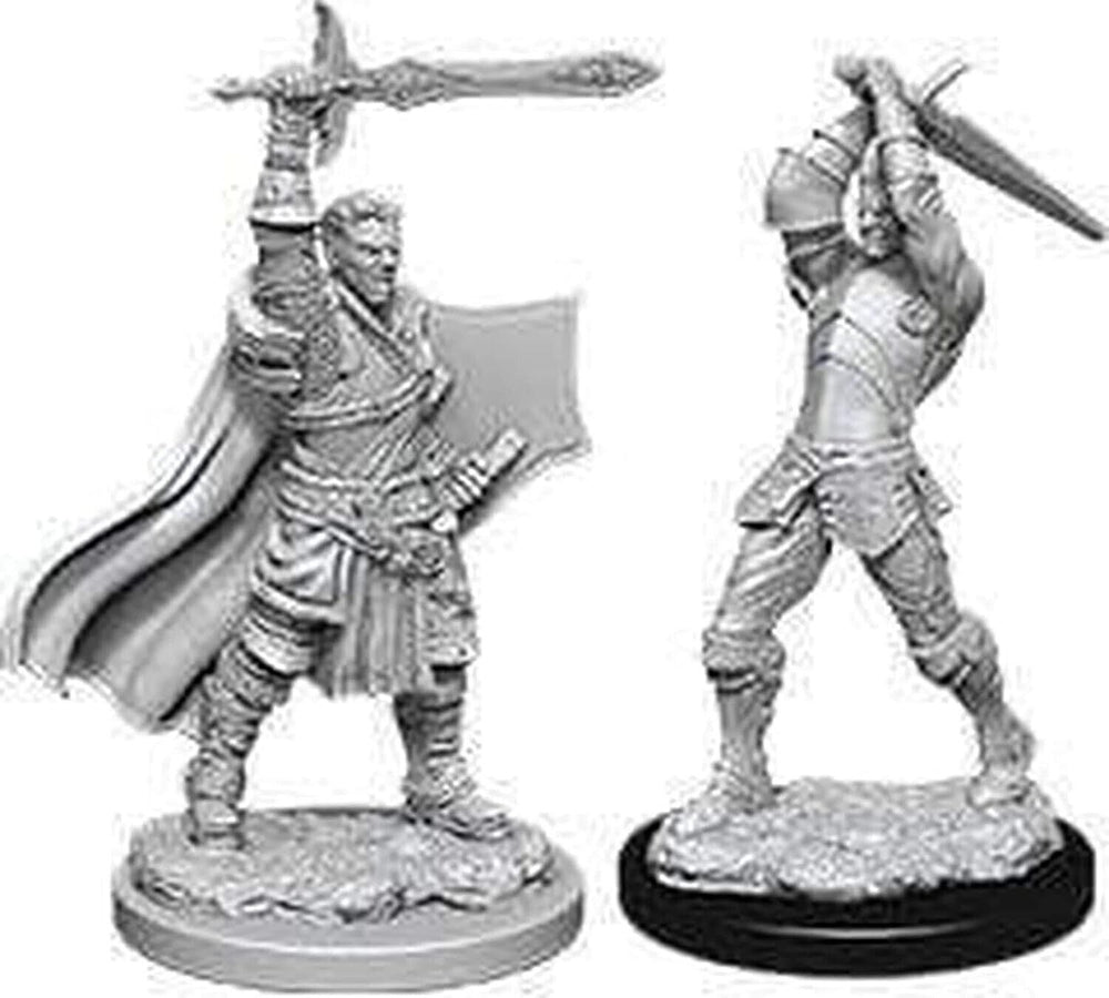 Male Human Paladin W12 2 pk Nolzur's D&D miniature Dungeons Dragons unpainted Z