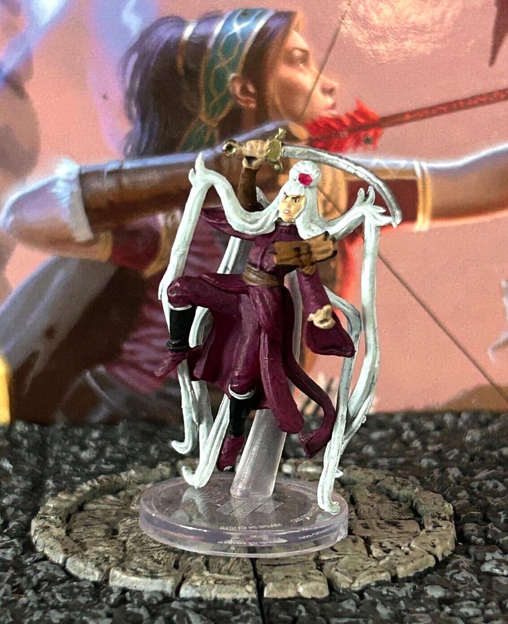 Syu Tak Nwa White Haired Witch D&D Miniature Dungeons Dragons Ruby Phoenix monk