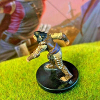 Shifter Rogue D&D Miniature Dungeons Dragons Eberron brawler monk thief 16 rpg Z