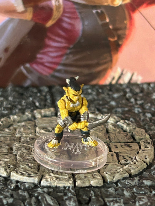 45747917