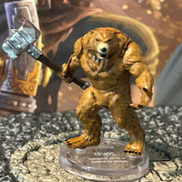 Werebear 20b D&D Miniature Dungeons Dragons Tomb of Annihilation barbarian Z