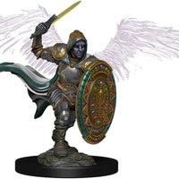 Male Aasimar Paladin Premium painted D&D Miniature Dungeons Dragons fighter W2 Z