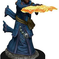 Female Human Wizard Premium D&D Miniature Dungeons Dragons warlock sorcerer W5 Z