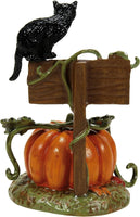 
              Feline Noir 2024 Department 56 Snow Village Halloween 6014543 black cat pumpkin
            