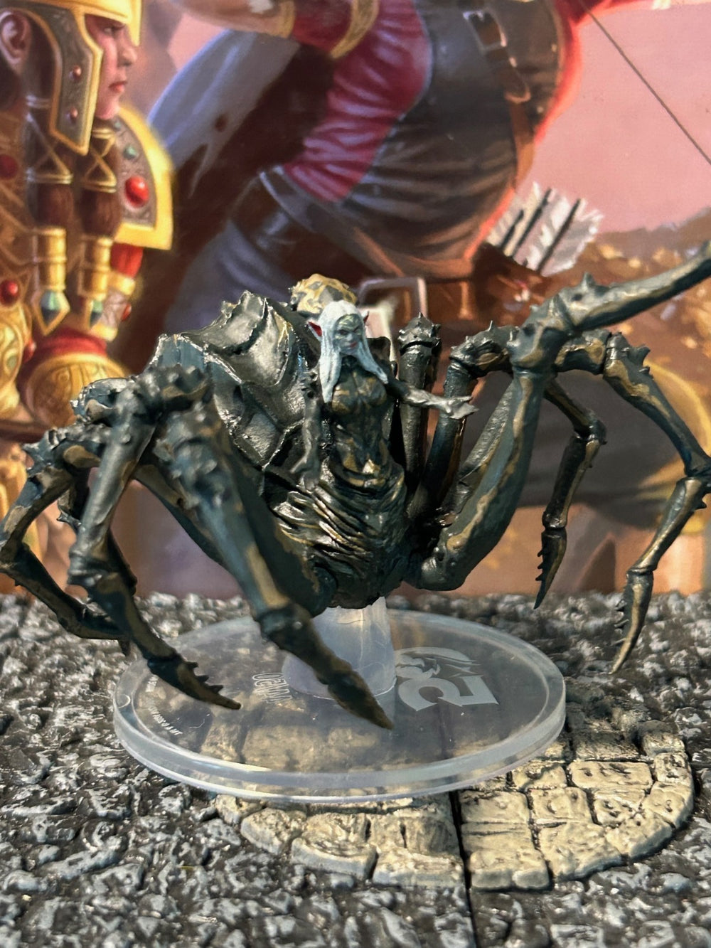 46045895